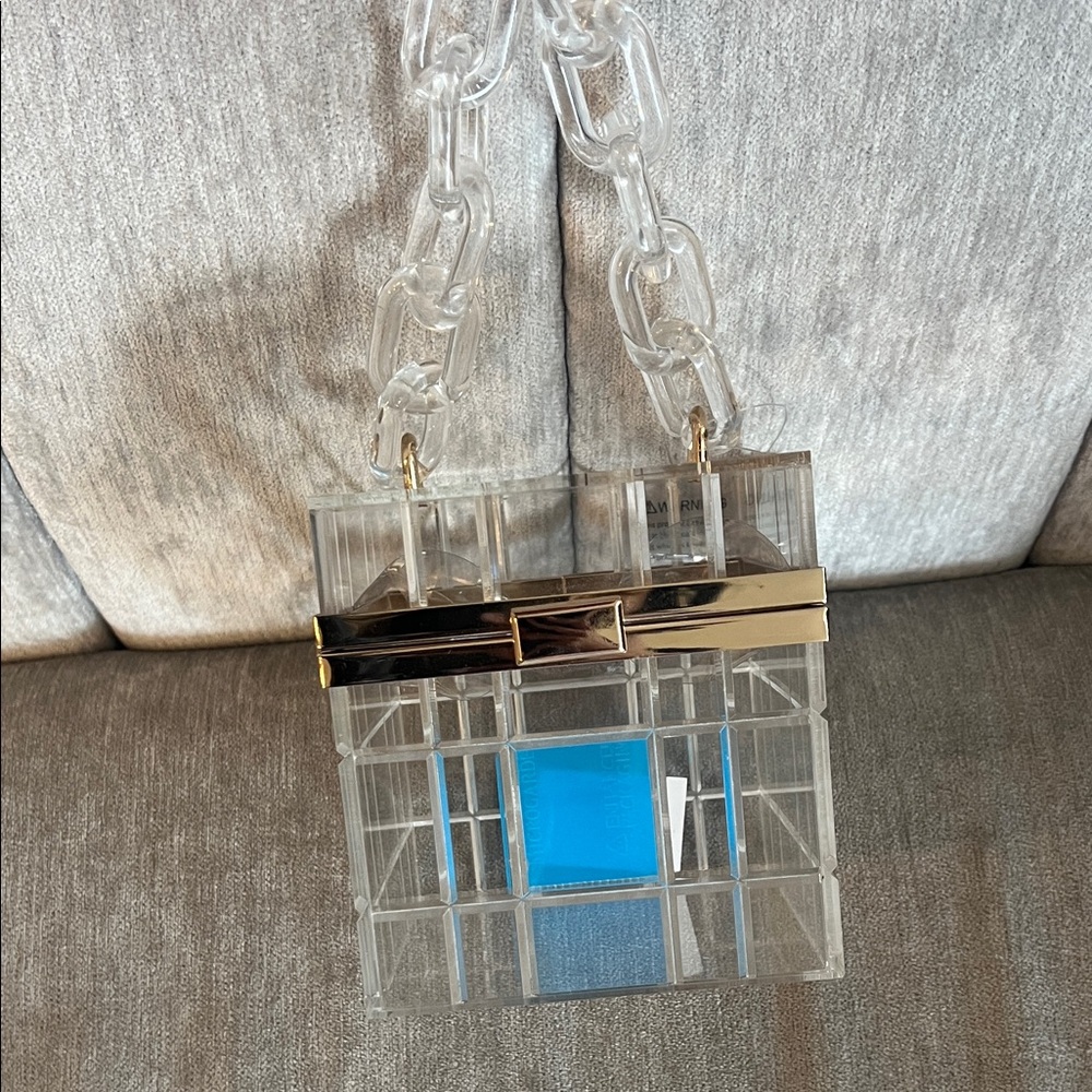 Francesca's Collections Clear and Blue Acrylic Bag